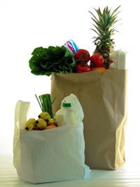 Why Reusable Paper Bag is a better option than Recyclable Plastic Bag •  Packing Green