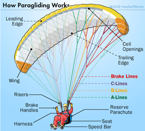 How does a paraglider fly?