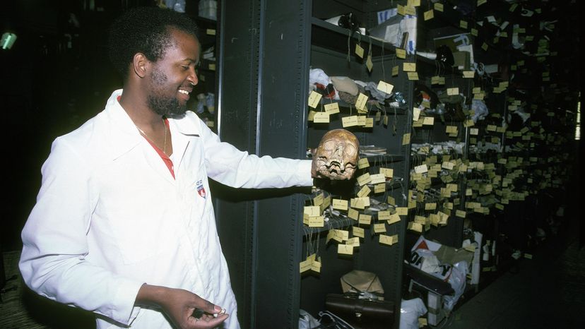 A worker holds an unclaimed skull that was housed at the Service des Objets Trouvés in Paris in 1981. No word on whether it was ever reunited with its owner. Jean-Marc LOUBAT/Gamma-Rapho/Getty Images