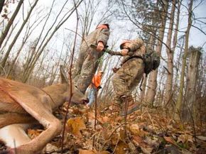 Deer hunters drag a four-point buck in Hastings, Michigan.