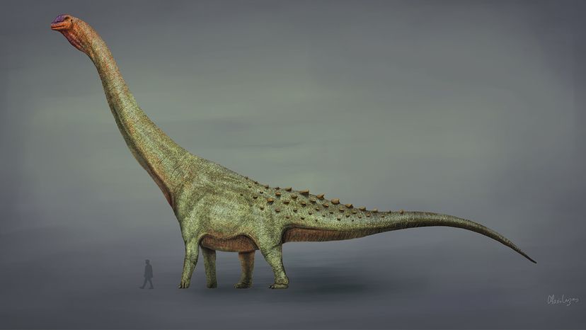 illustration of a giant dinosaur near a human a fraction of the size