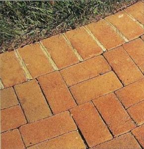 This brick walkway has sturdy mortared joints to offset the informally laid walk.