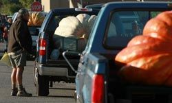 Truck towing pumpkin