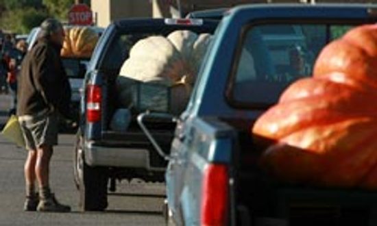 18新利最新登入有效载荷是如何工作的”class=