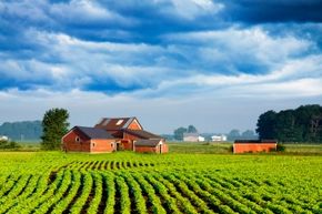 How many people could be sustained by the yield of a farm like this? That's actually pretty complicated.