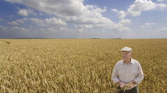 How many people does one farmer feed in a year?