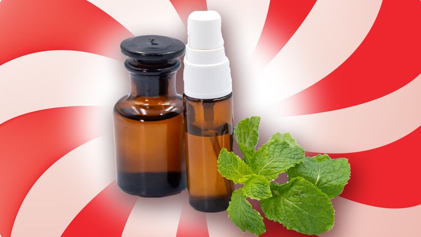 peppermint oil