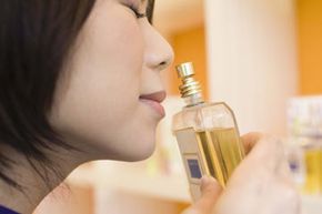 Higher percentages of fragrance oils in perfume make the scent last longer.