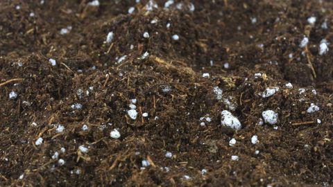 Perlite: It's Like Popcorn for Your Potting Soil! - Vimarsana News