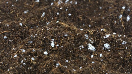 Perlite: It's Like Popcorn for Your Potting Soil!