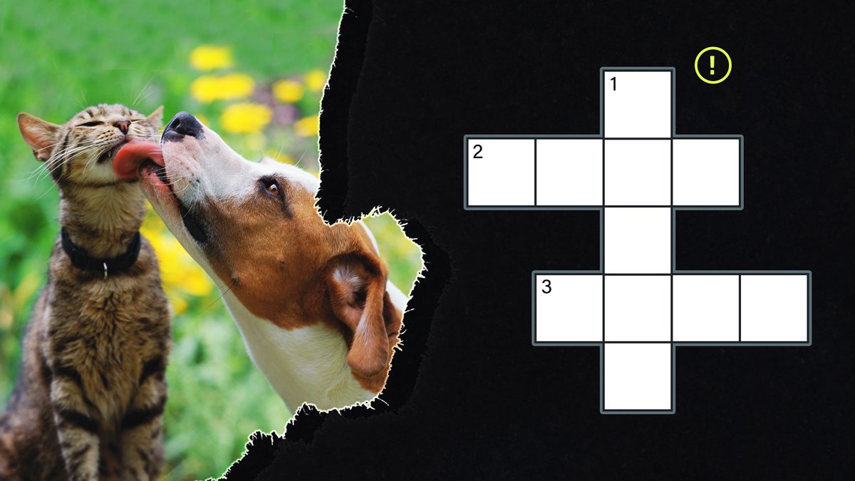 Pet Themed Crossword