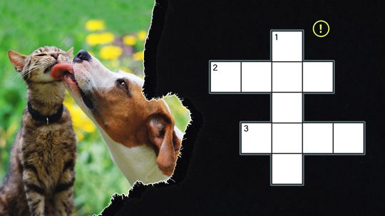 Pet Themed Crossword