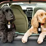 宠物汽车座椅101＂width=