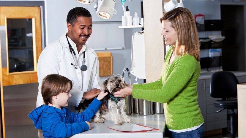 vet with mother, son and yorkie