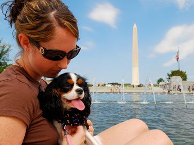 woman and dog at Washington Memorial 