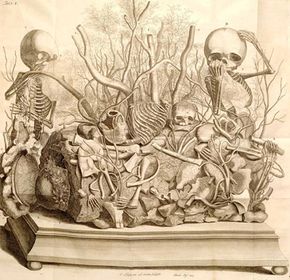 An illustration of one of Frederick Ruysch's dioramas featuring fetal skeletons and preserved tissue. Note the handkerchief.