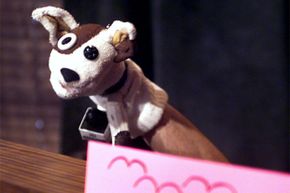 The Pets.com sock puppet was the company's high-profile spokesperson.