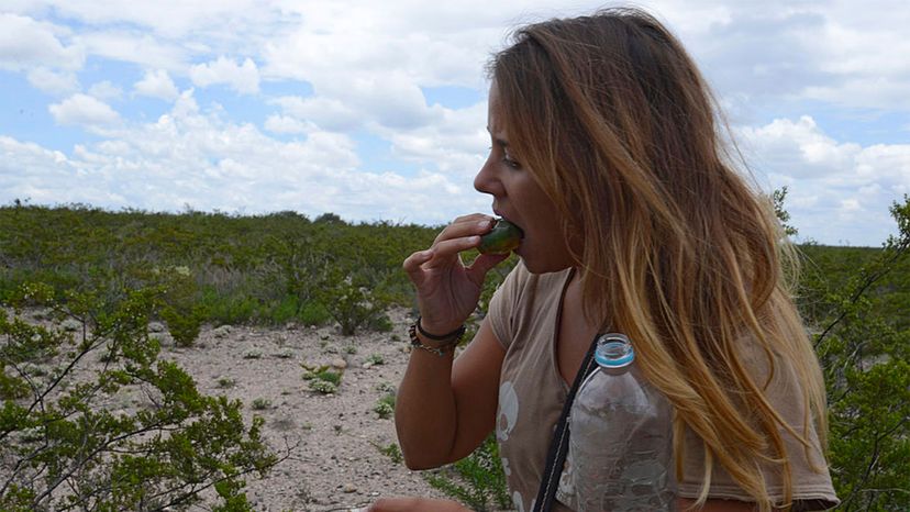 tourist eats peyote