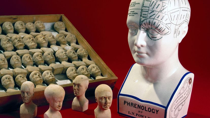 phrenology diagram and heads
