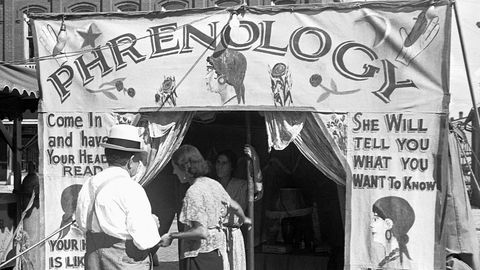Why Was Phrenology All the Rage in Victorian Times? - Vimarsana News