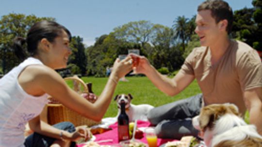 Top 10 Picnic Foods