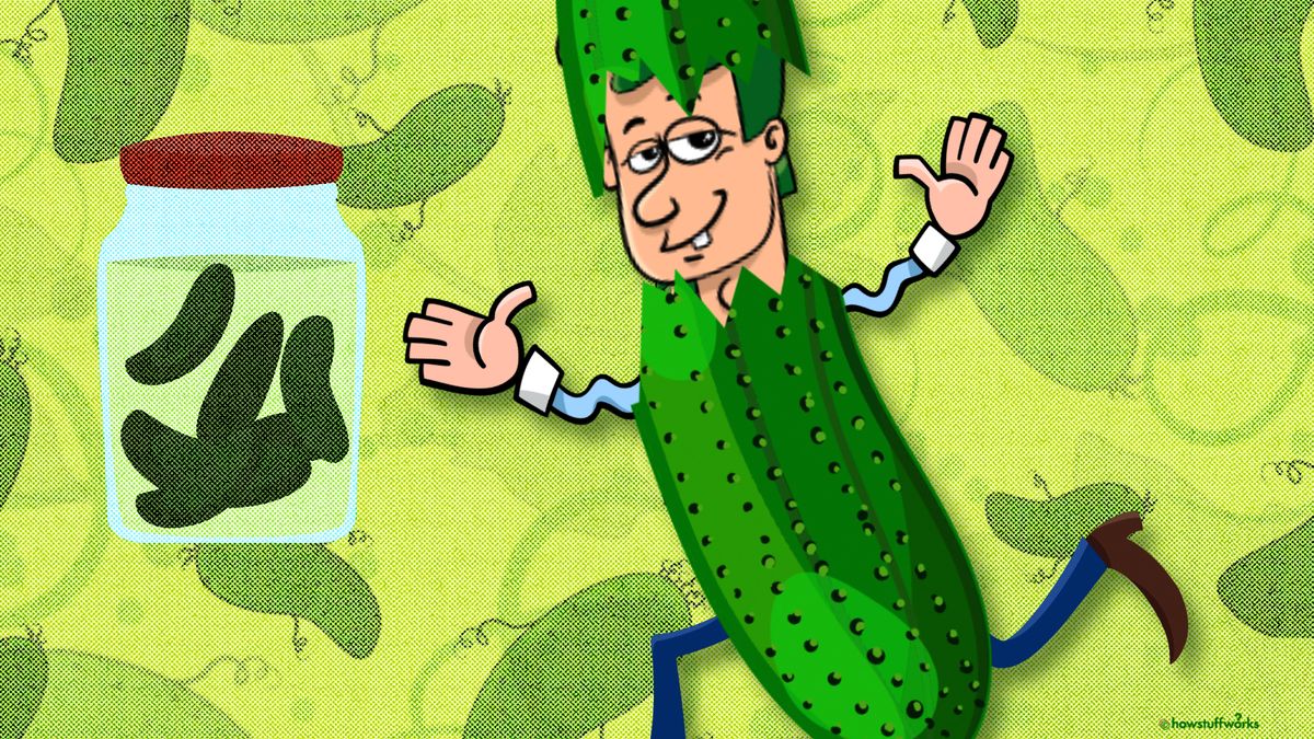 Ever found yourself in a pickle and wondered, "Hey, why the heck d...