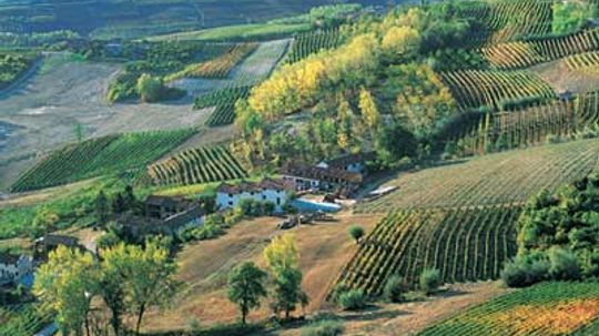 Ultimate Guide to the Piedmont Wine Region