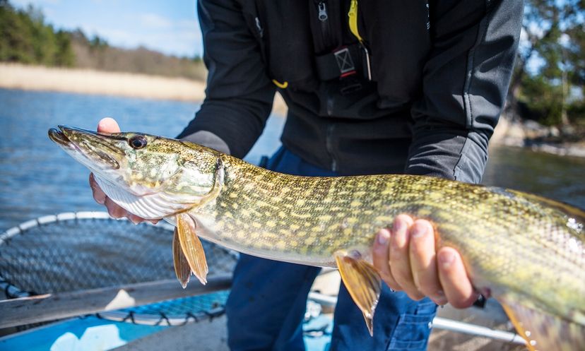 The Ultimate Pike Locations Quiz