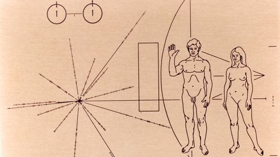 What Are the 8 Phases of the Moon, in Order?