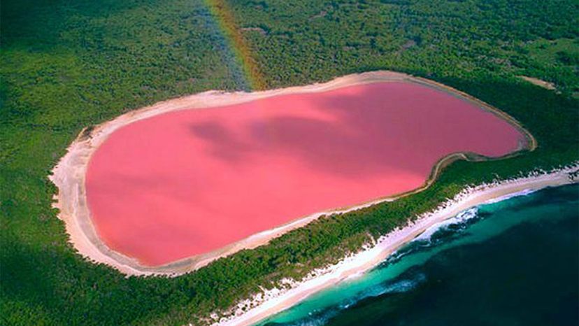 pink lake location