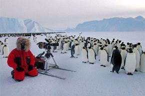 A BBC cameraman spends some quality time with the emperor penguins of Antarctica.