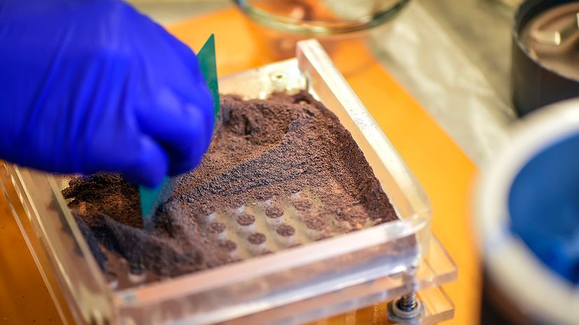 A placenta encapsulation specialist spreads the dehydrated and powdered placenta of a client into capsules following the birth of the client's baby. David Eulitt/Kansas City Star/TNS via Getty Images