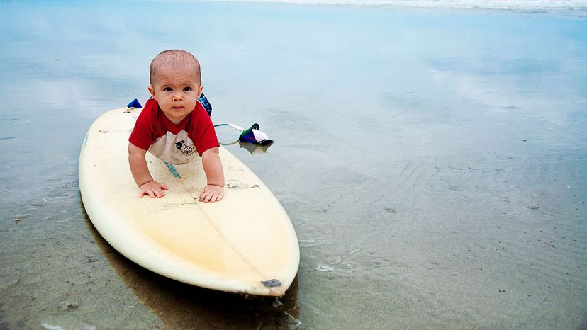 baby, board, Brevard County