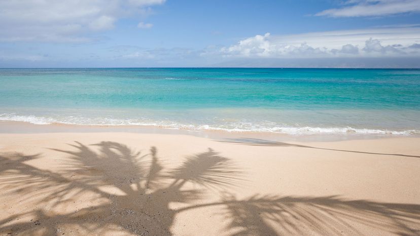 Hawaii beach