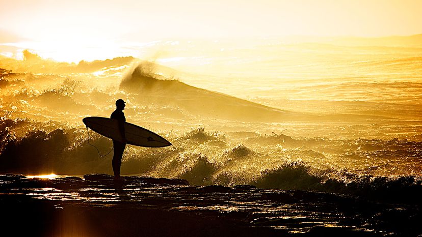 surfer, New South Wales