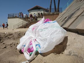 Why are plastic bags so cool?