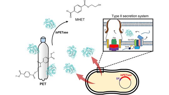 Are Plastic-eating Enzymes Our Planet's Only Hope?