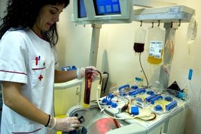 BLOOD PLASMA DONATION SIMPLIFIED: HOW IT WORKS, REQUIREMENTS, USES