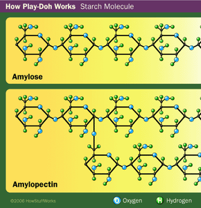 Understanding starch functionality