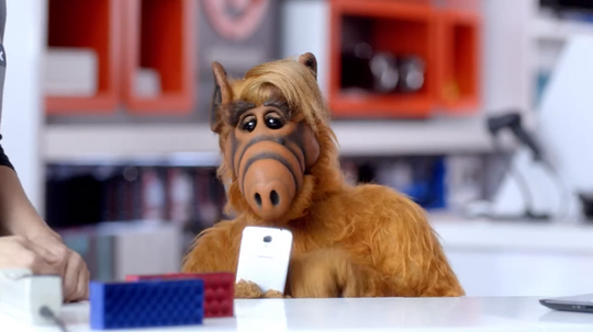 The ALF Quiz