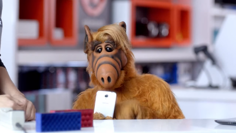Alf looking at cellphone