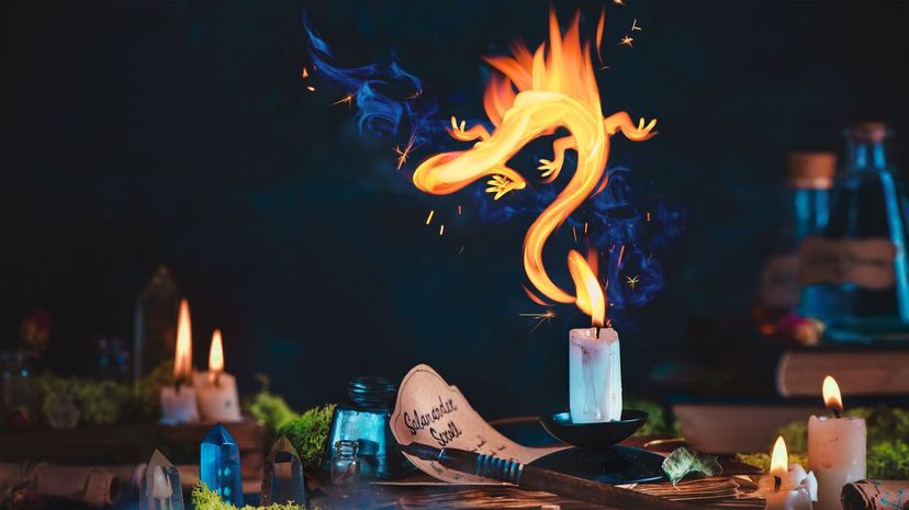 Spell with Animal