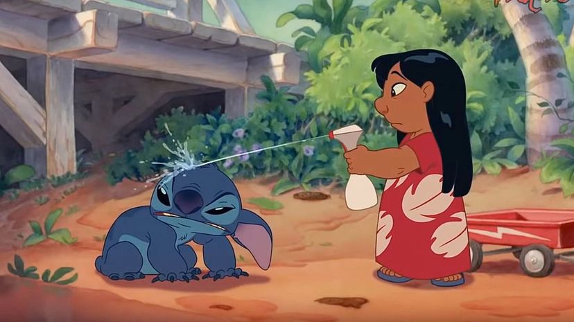 Question 29 - Lilo &amp; Stitch