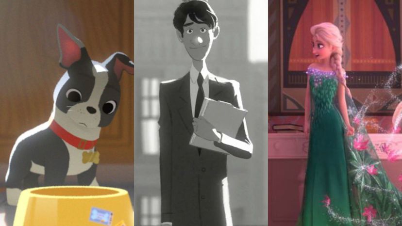 Which Animated Short Film Describes Your Life?