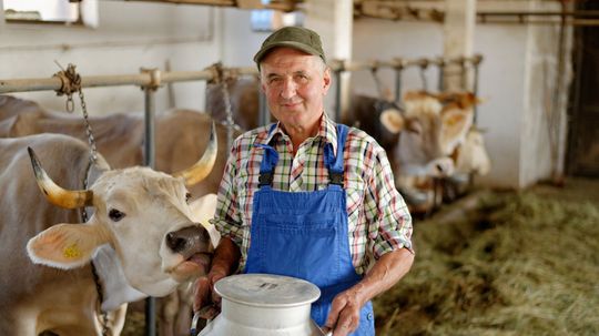 Is Your Brain More Farmer or Trucker?