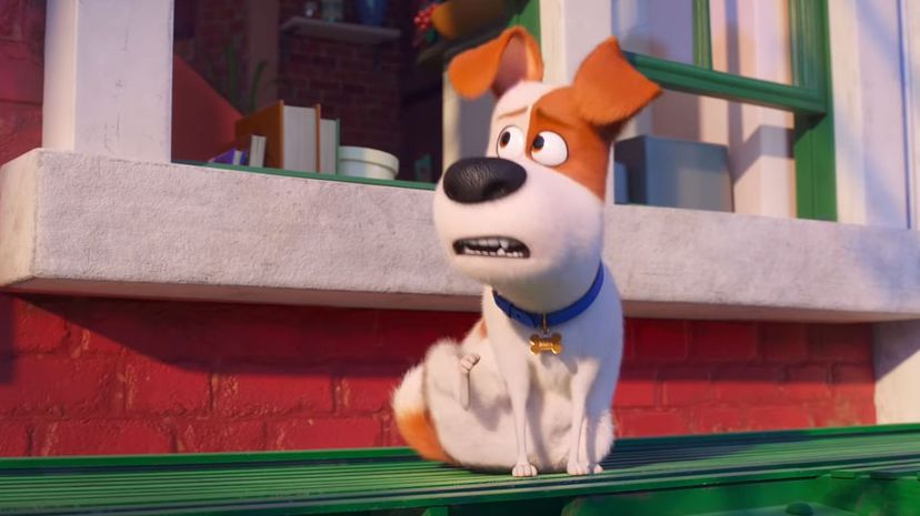 The Secret Life of Pets 2019 - Max