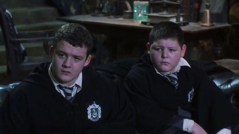 Polyjuice Potion - Crabbe and Goyle