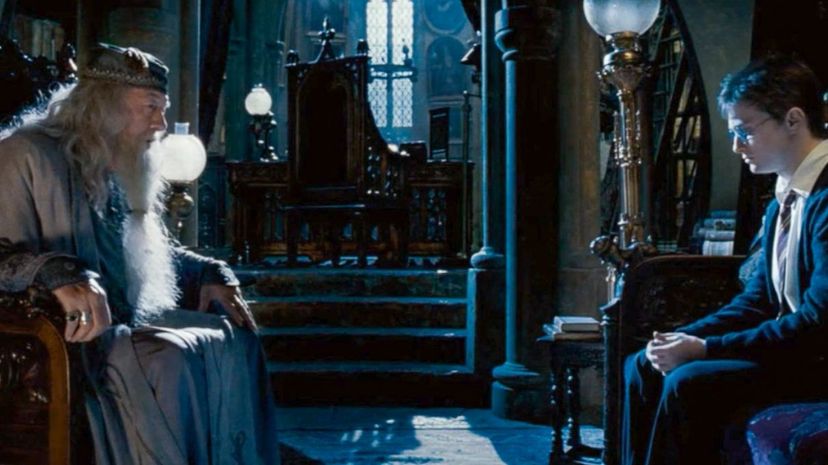 29-Harry and Dumbledore