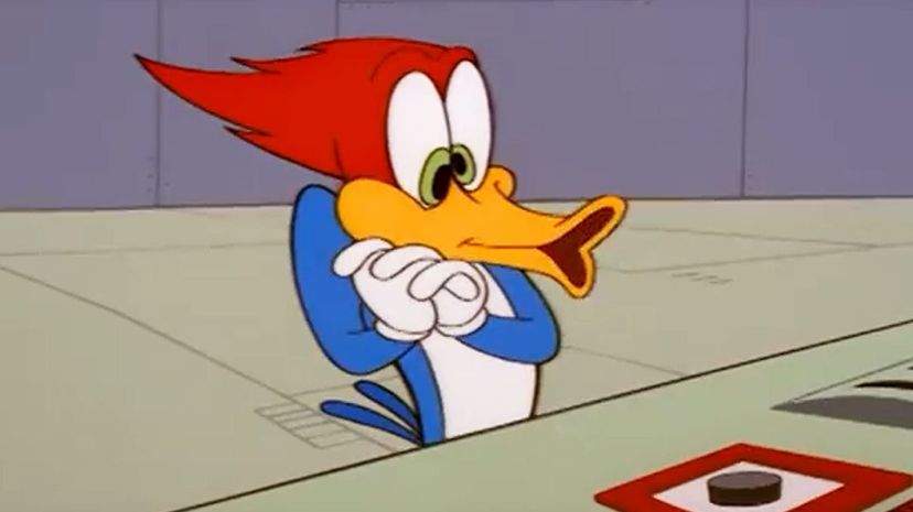 Woody Woodpecker
