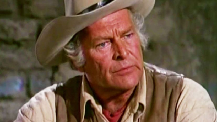 The High Chaparral